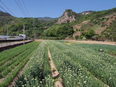 P5010698