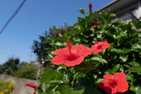 P1050874_s