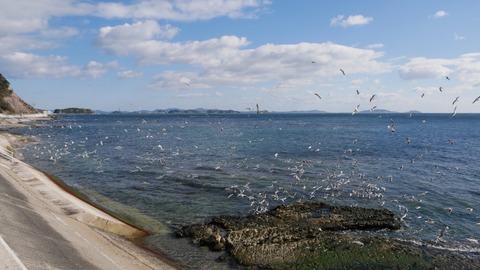 P1070463_a