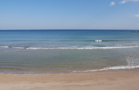 P1060046_s