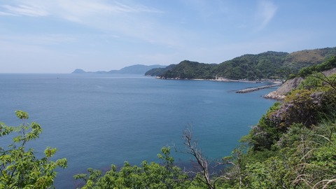P5030765_a