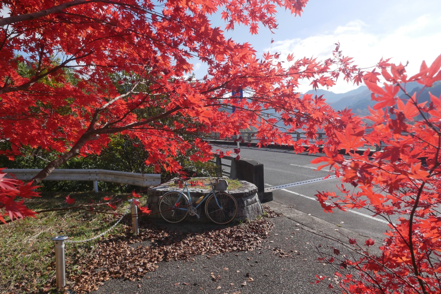 香落渓の紅葉ポタ 海へ
