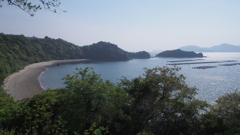 P5010029_a