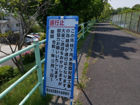 P1090081_a
