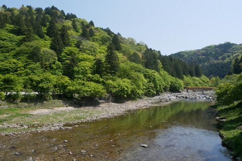 P1090325_a