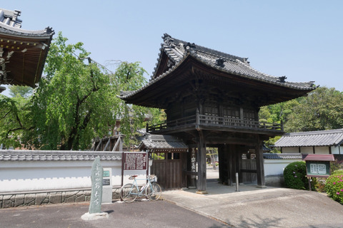 P1090076