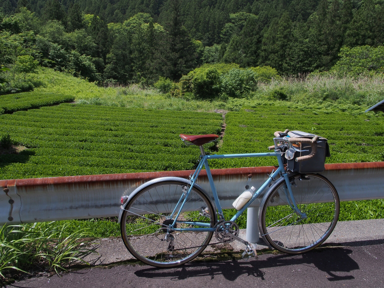 新緑の明神峡ポタリング 海へ