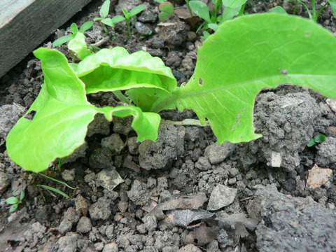 P1330614