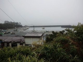 20110423matugahama003