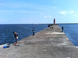 93e70624.jpg