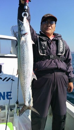 20151017sawara83cm