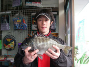 kodama200804