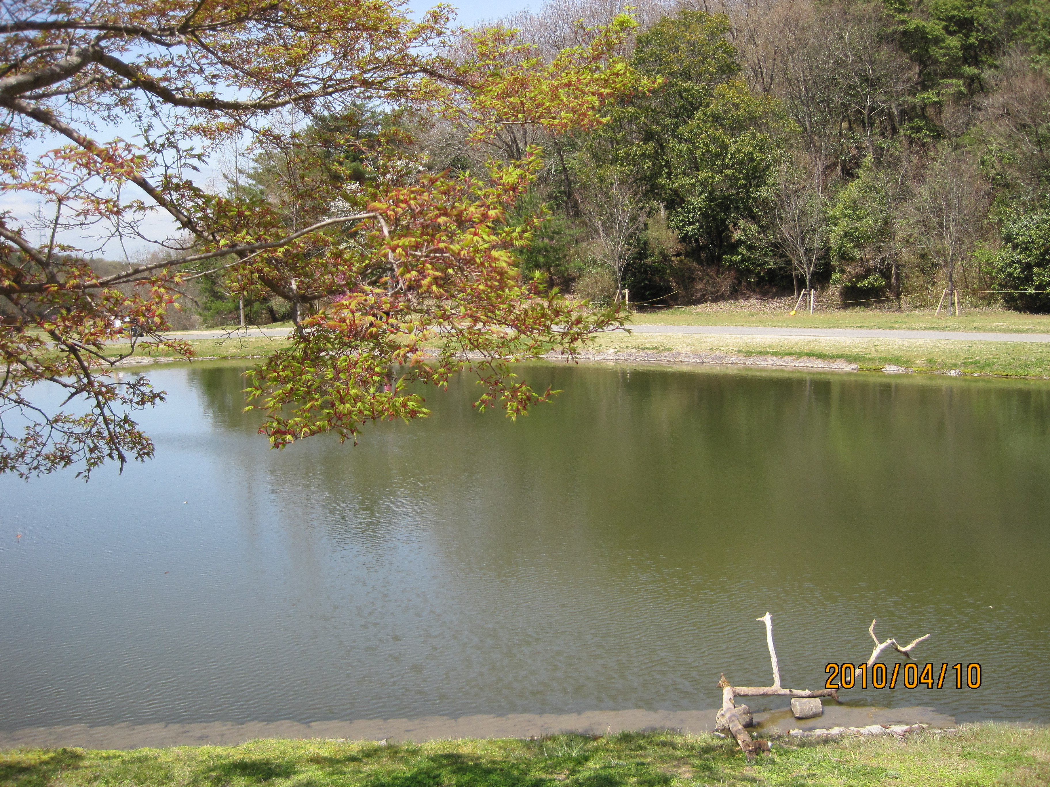 三木山森林公園 ステーキバイキング たべんのあそぶのダイスキ