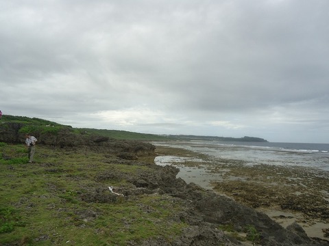 DSC00666