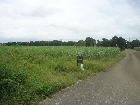 DSC03359