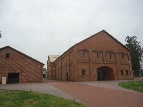 DSC05255