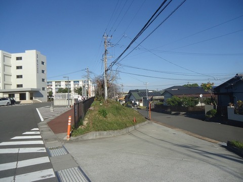 DSC01950