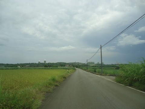DSC03363