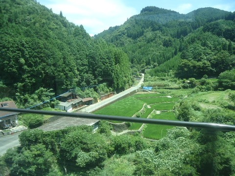 DSC05422