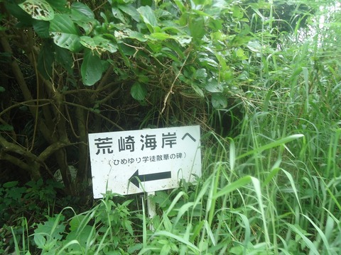 DSC00662