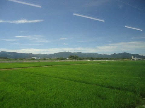 DSC05473