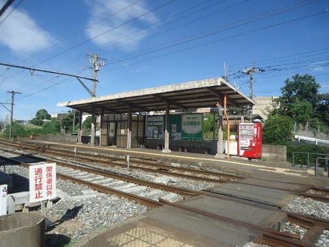 DSC05486