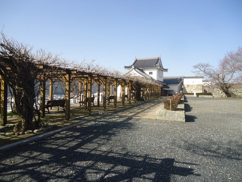 DSC05752