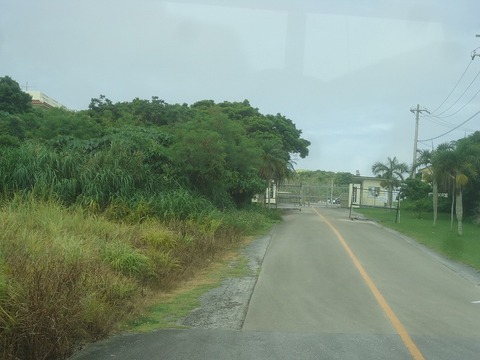DSC00649