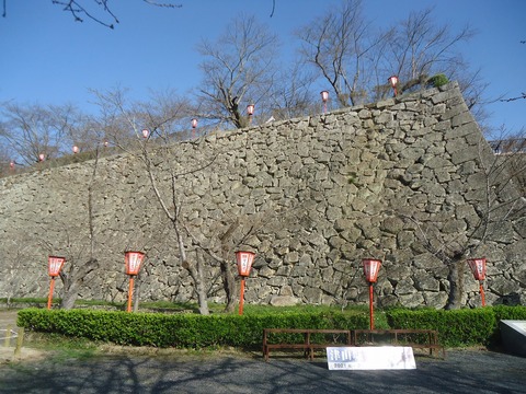 DSC05741