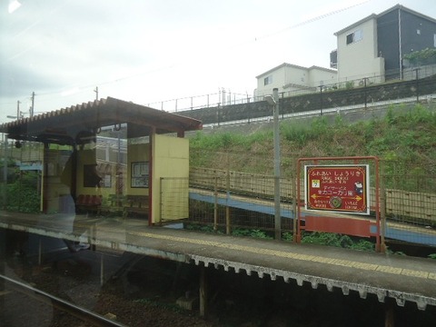 DSC05517
