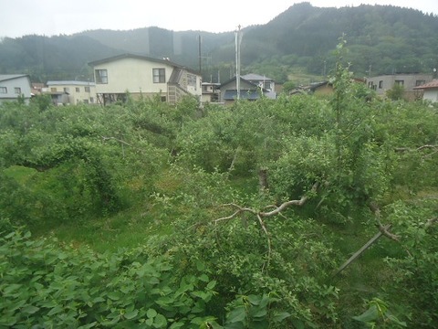 DSC05226