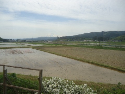 DSC05173
