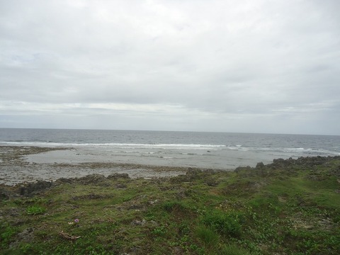DSC00665