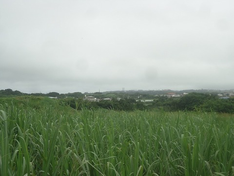 DSC00651