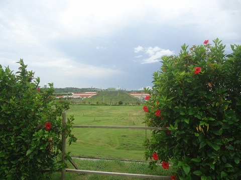 DSC03361