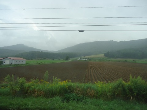 DSC09353