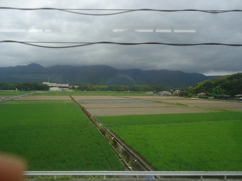 DSC05516