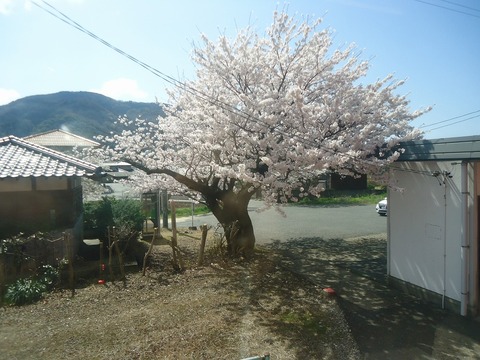 DSC07171