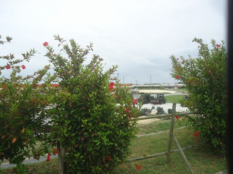 DSC03355