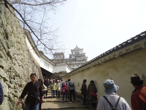 DSC06346
