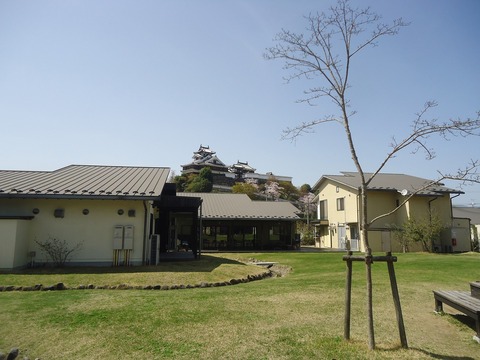 DSC05984