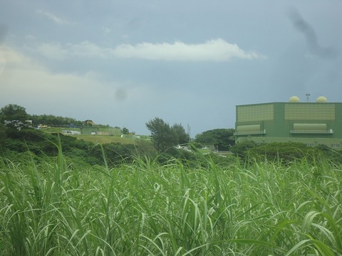 DSC03370