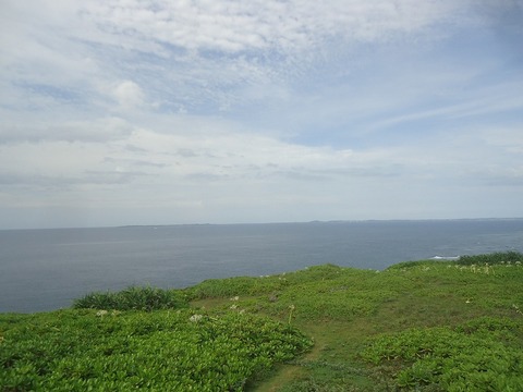 DSC03387