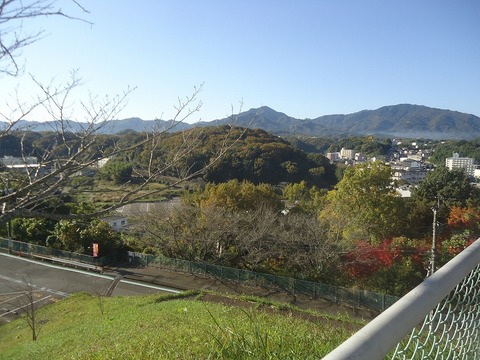 DSC01938