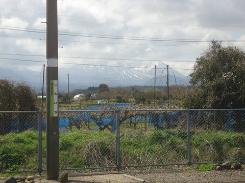 DSC07166