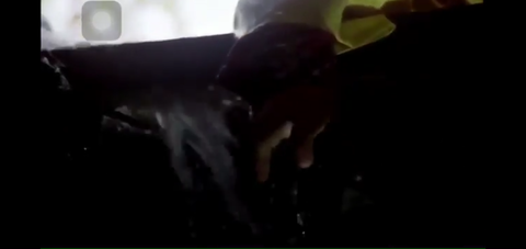 Screenshot_20211205-190929