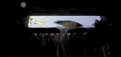 Screenshot_20211205-190501