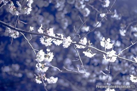 IMGP0094