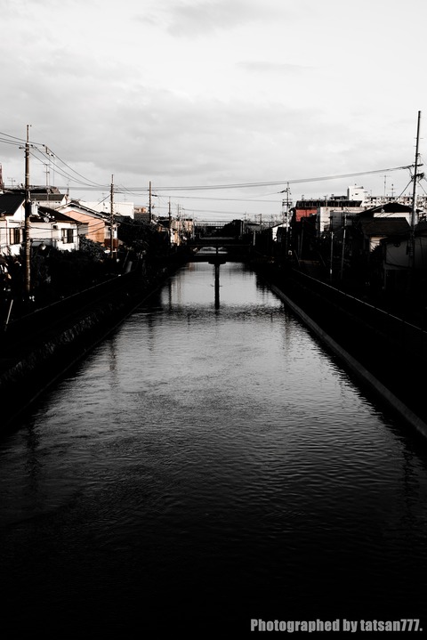 IMGP1033