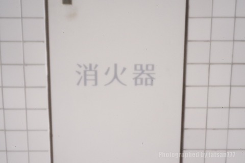 IMGP4146